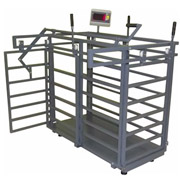 T7E_CAGE_SCALE